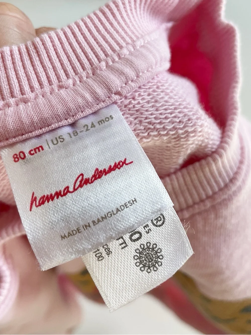 Hanna Andersson Two Piece Set | Tiger Sweatshirt & Floral Pants | 18-24m
